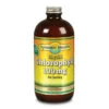 Dynamic Health Liquid Chlorophyll 100mg 16 Fl Oz.